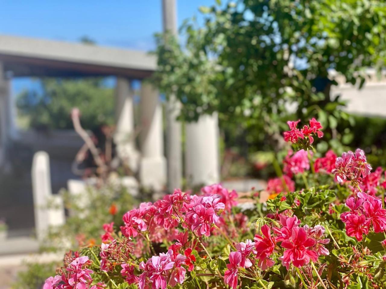 Casa Zagami Βίλα Malfa  Εξωτερικό φωτογραφία